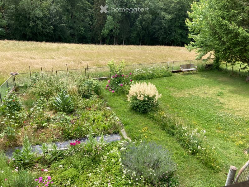 Spacieux appartement de 6 pièces en duplex à la campagne (11)