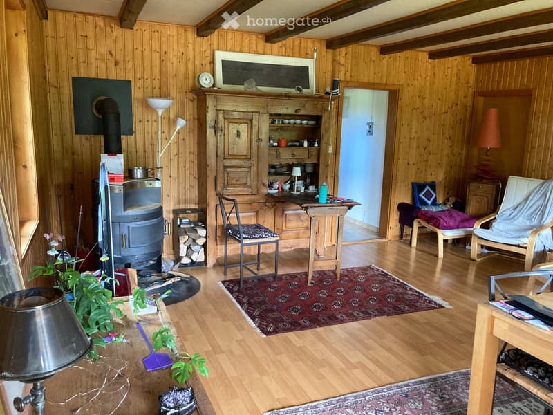 Spacieux appartement de 6 pièces en duplex à la campagne (8)