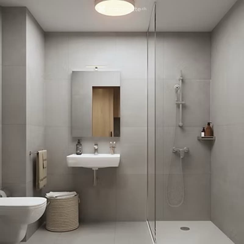 Studio moderne et lumineux à Vernier - 2 mois seulement (2)