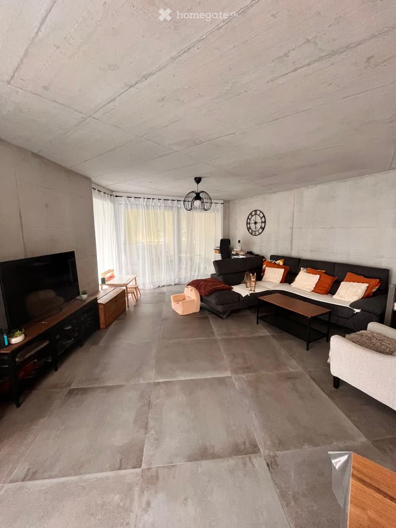 Reprise de bail Magnifique appartement 4,5 pièces (2)