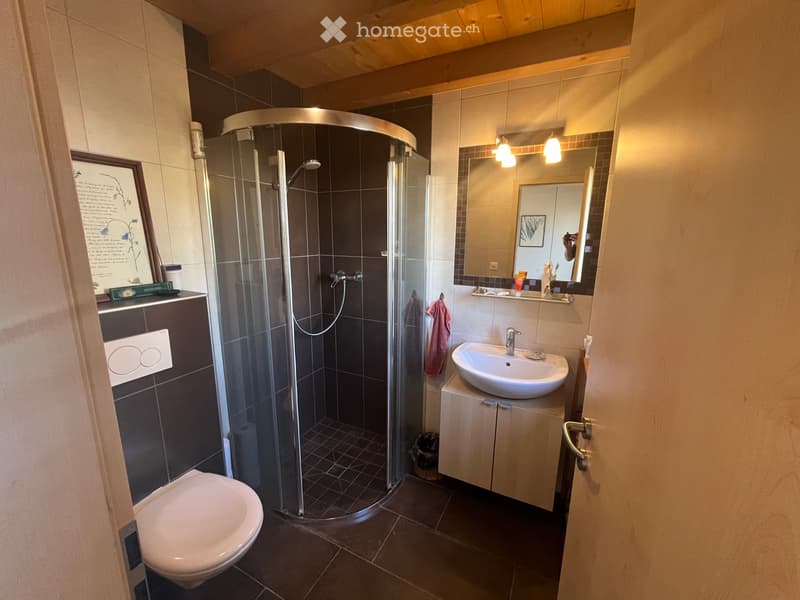 Chambre en collocation à Salvan (4)