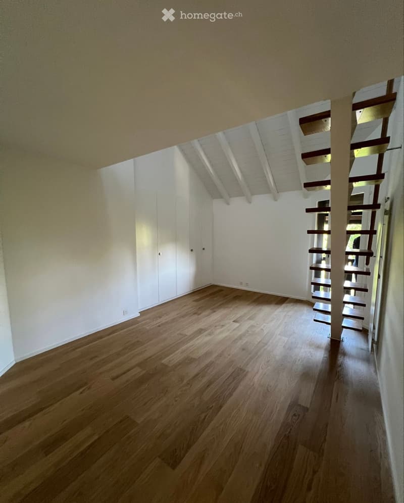 duplex 6 pieces de 180m2 dans la campagne genevoise (2)