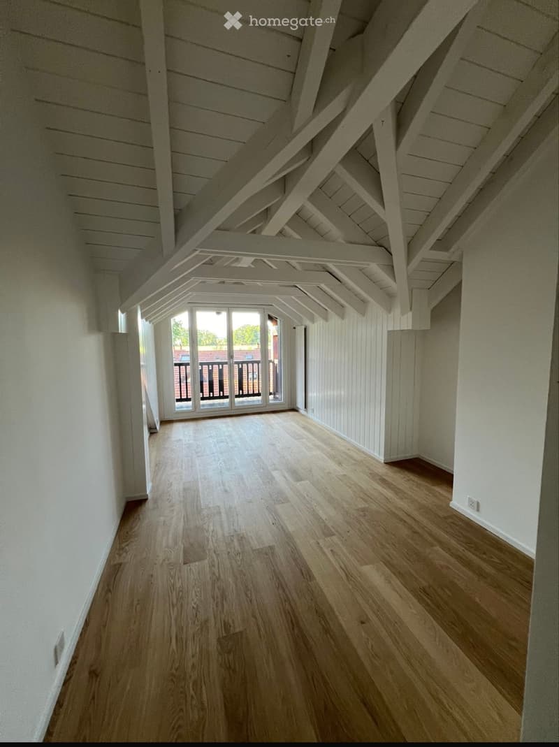 duplex 6 pieces de 180m2 dans la campagne genevoise (3)
