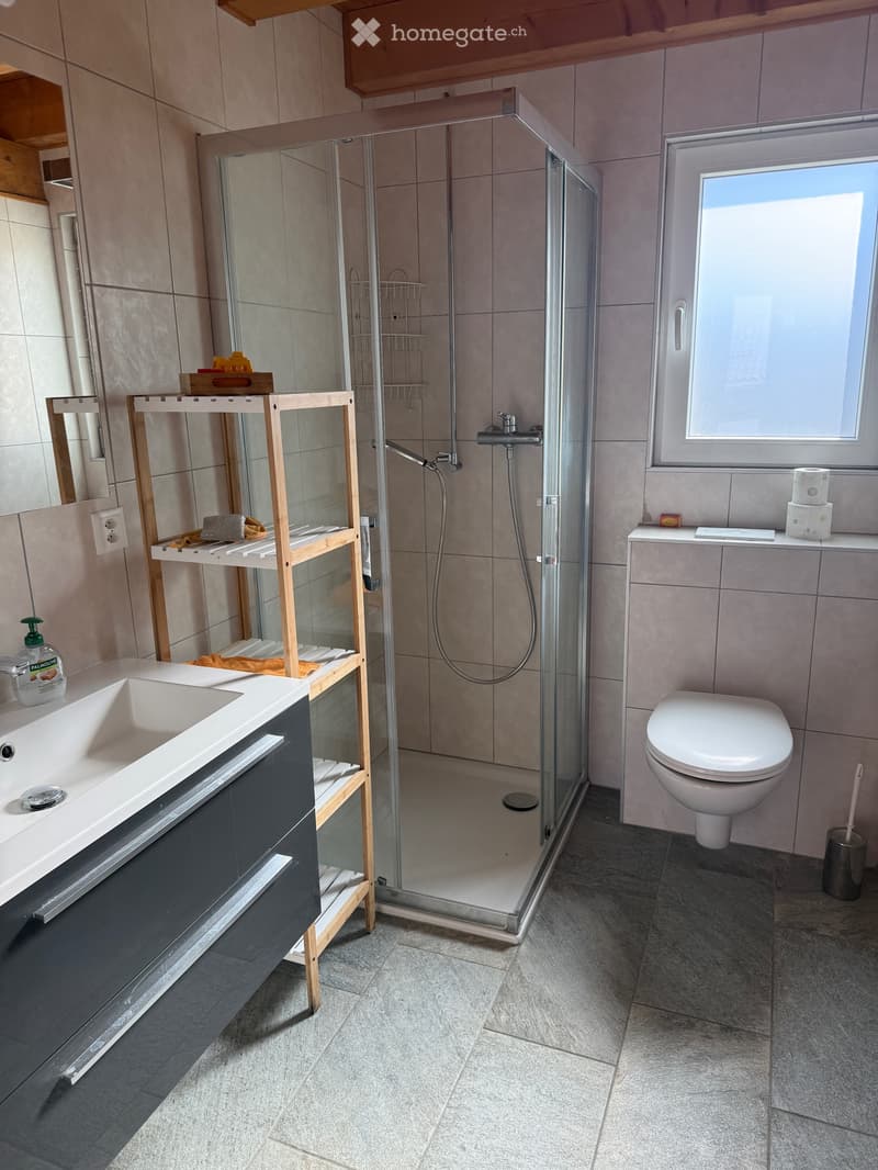 Appartement à louer à Riddes (Valais) (5)