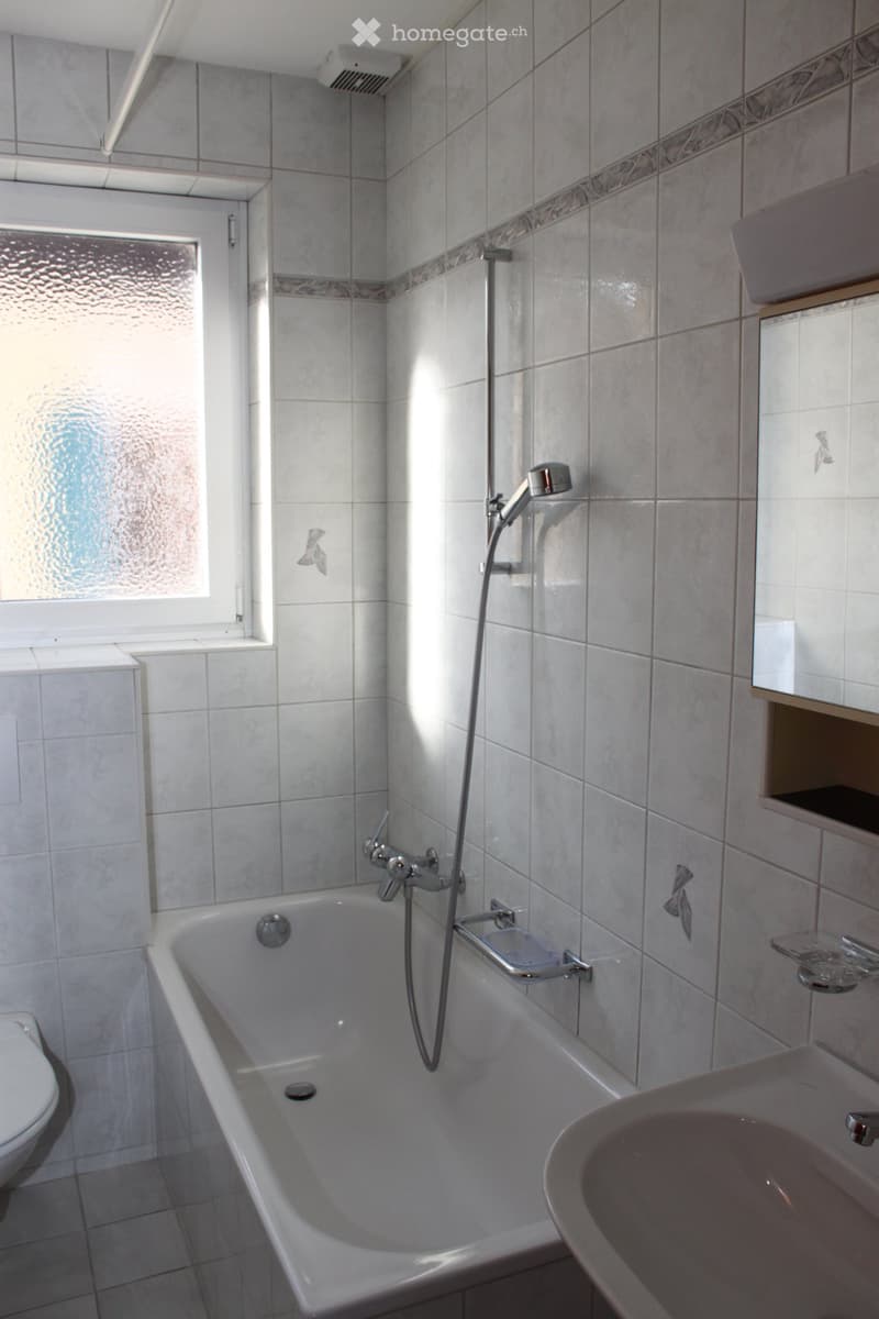 Appartement ensoleillé et calme en ville (3)