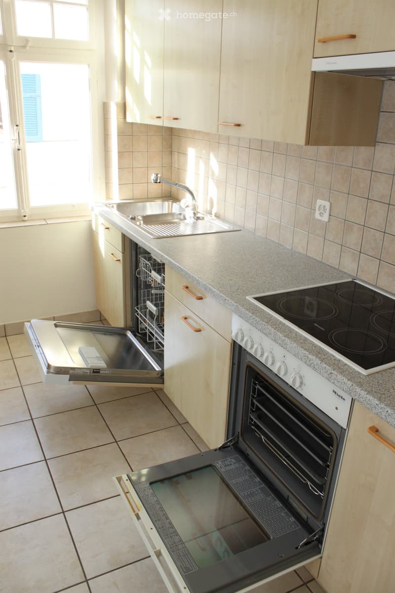 Appartement ensoleillé et calme en ville (4)