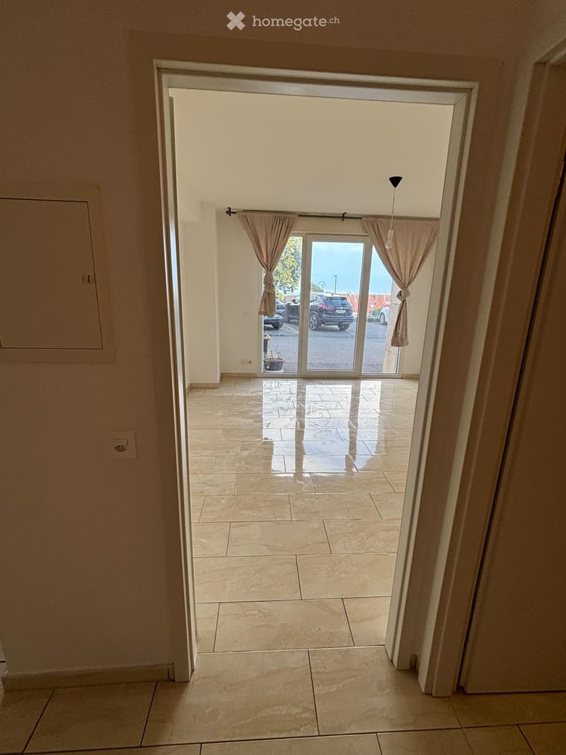 Appartement spacieux et lumineux avec Terrasse (5)