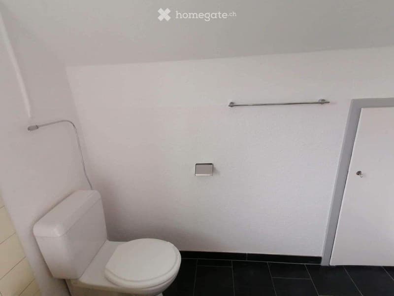Charmante 2-Zimmer-Wohnung in Winterthur (3)
