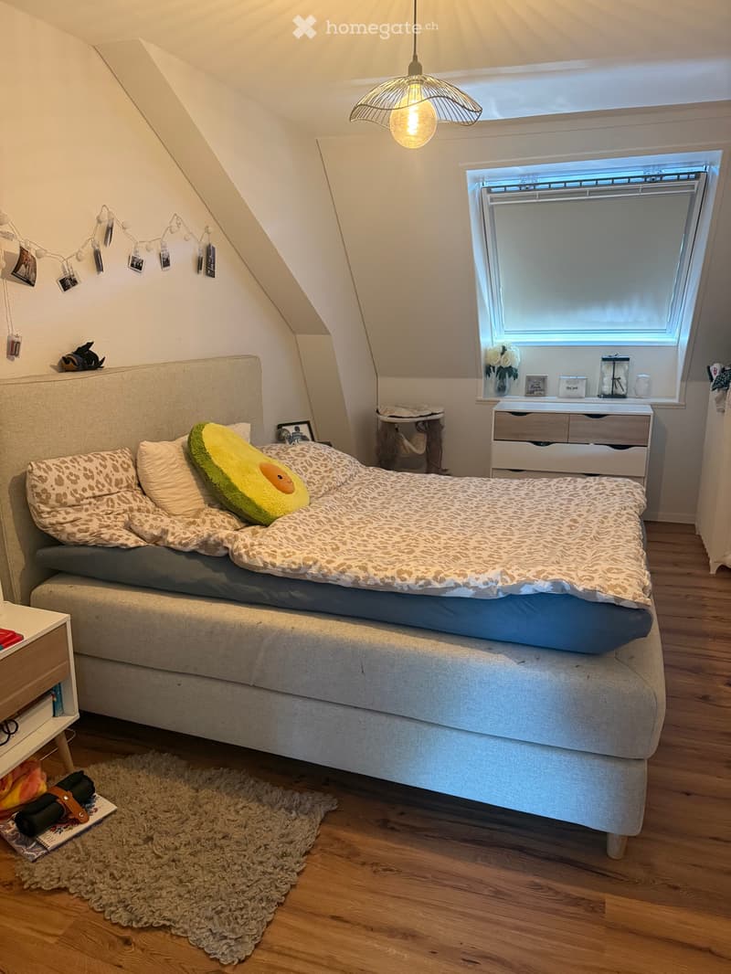 Appartement 4,5 pces spacieux et moderne (3)