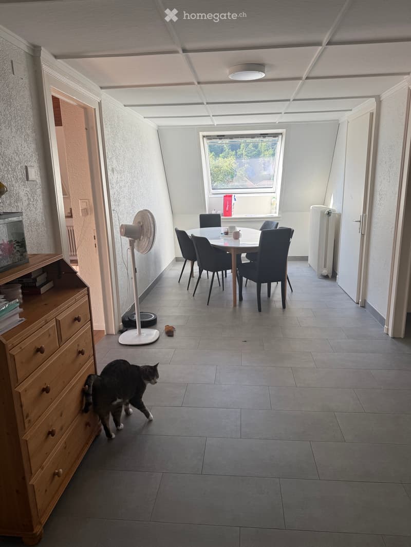 Appartement 4,5 pces spacieux et moderne (2)