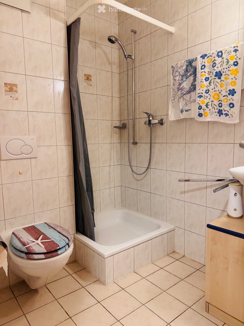 Short term Furnished Room for Rent in Saint-Maurice, Valais (3)