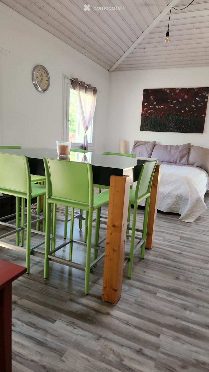 Loft de 35 m2 meublé avec place de parc pour étudiant (3)