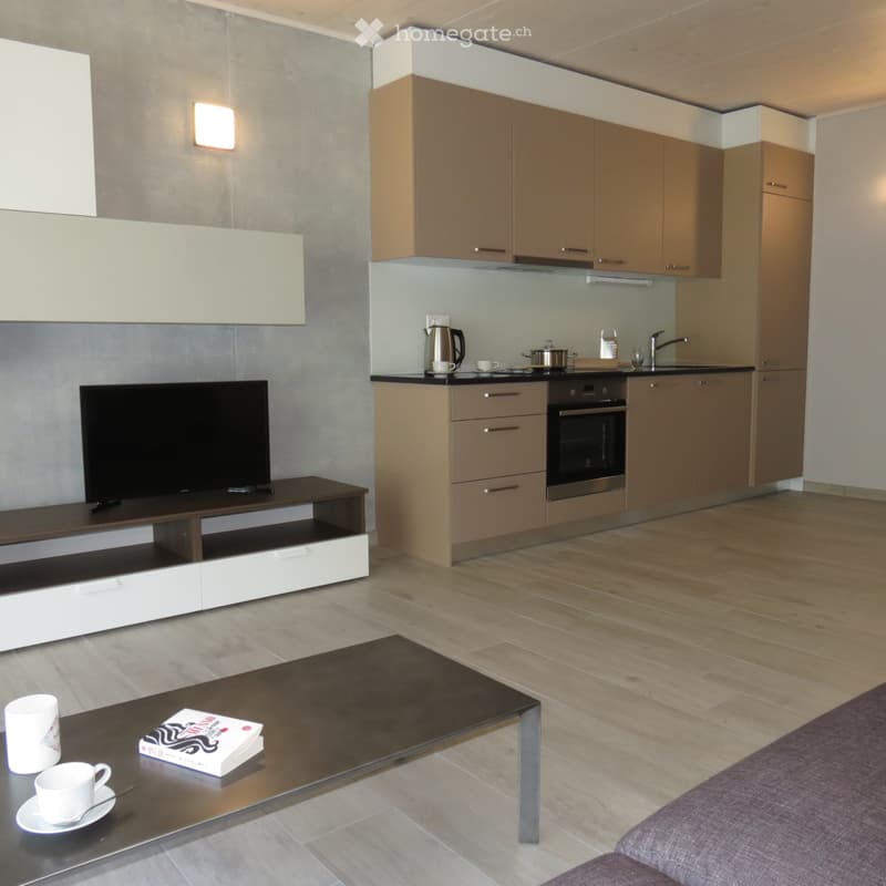 Saxon, appartement meublé (2)
