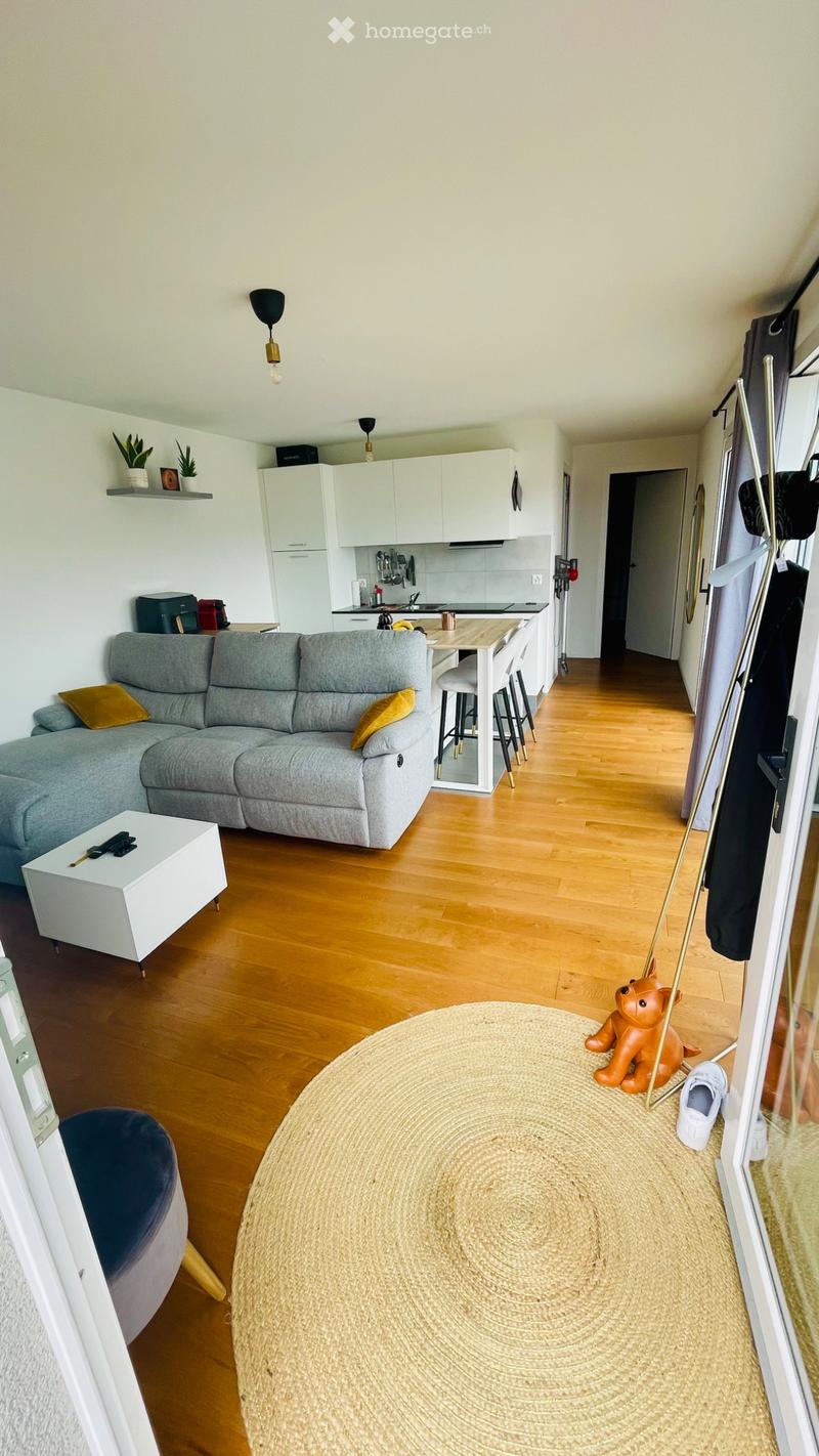 Appartement avec terrasse (2)
