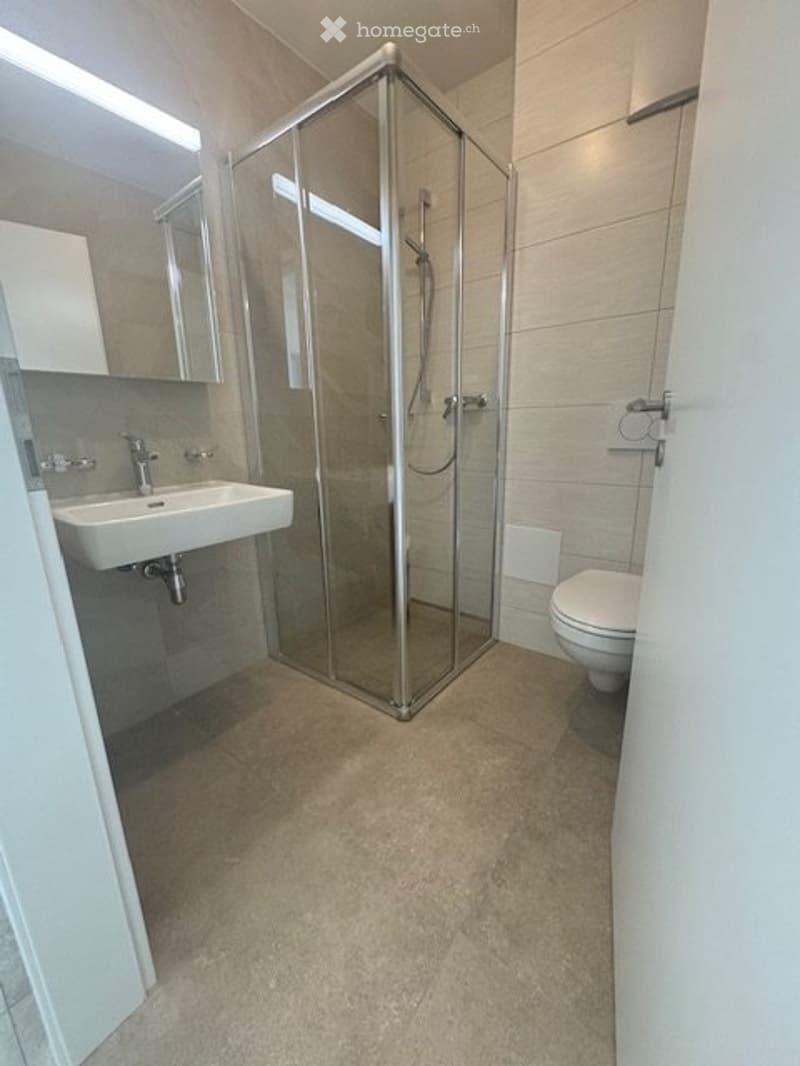 Magnifique appartement 2.5 pièce - Lausanne - (5)