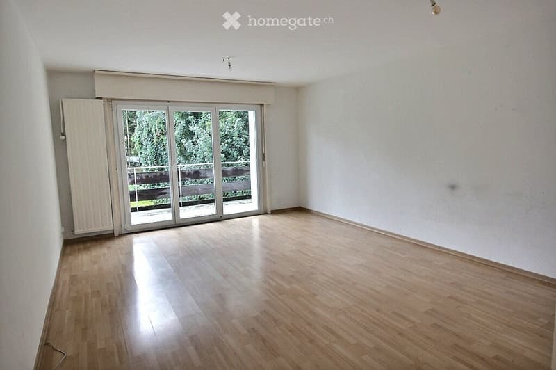 Grand 4.5 pièces avec balcon (5)