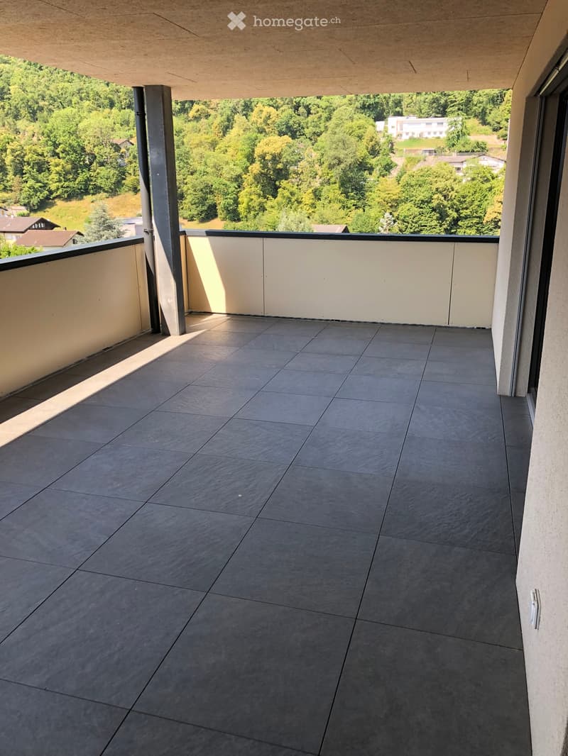 Appartement 2.5 p à louer (4)