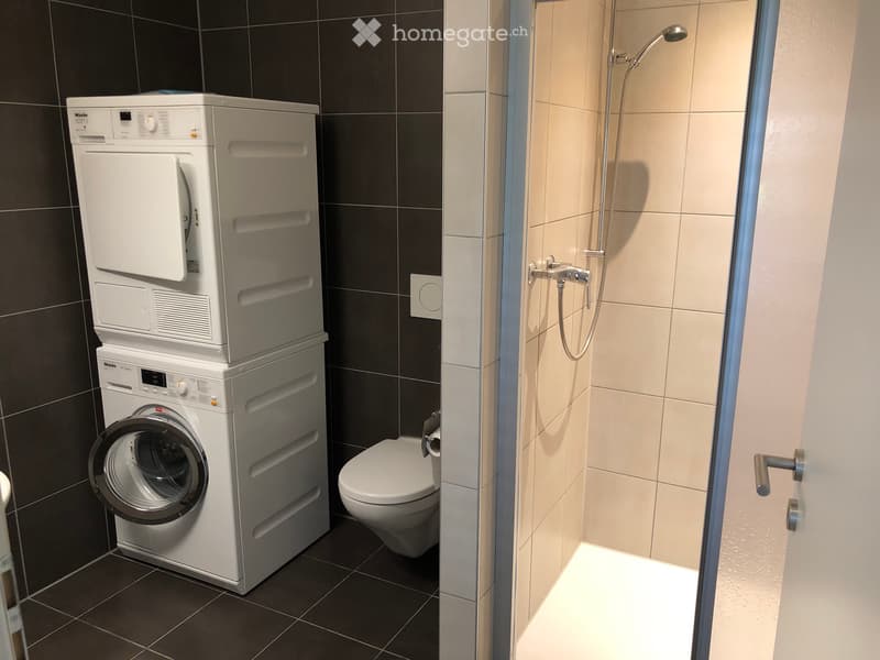 Appartement 2.5 p à louer (3)