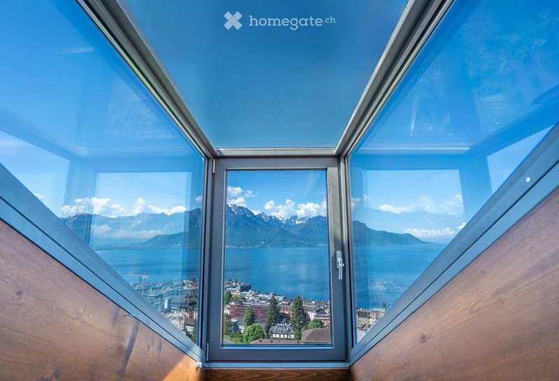 Appartement de 2,5 pièces avec vue panoramique sur le lac (3)