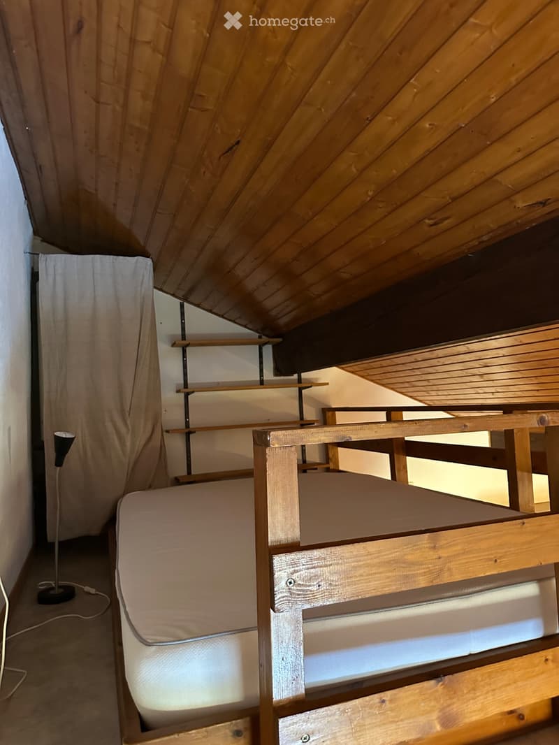 Studio Meublé 38m2 La Cure (3)