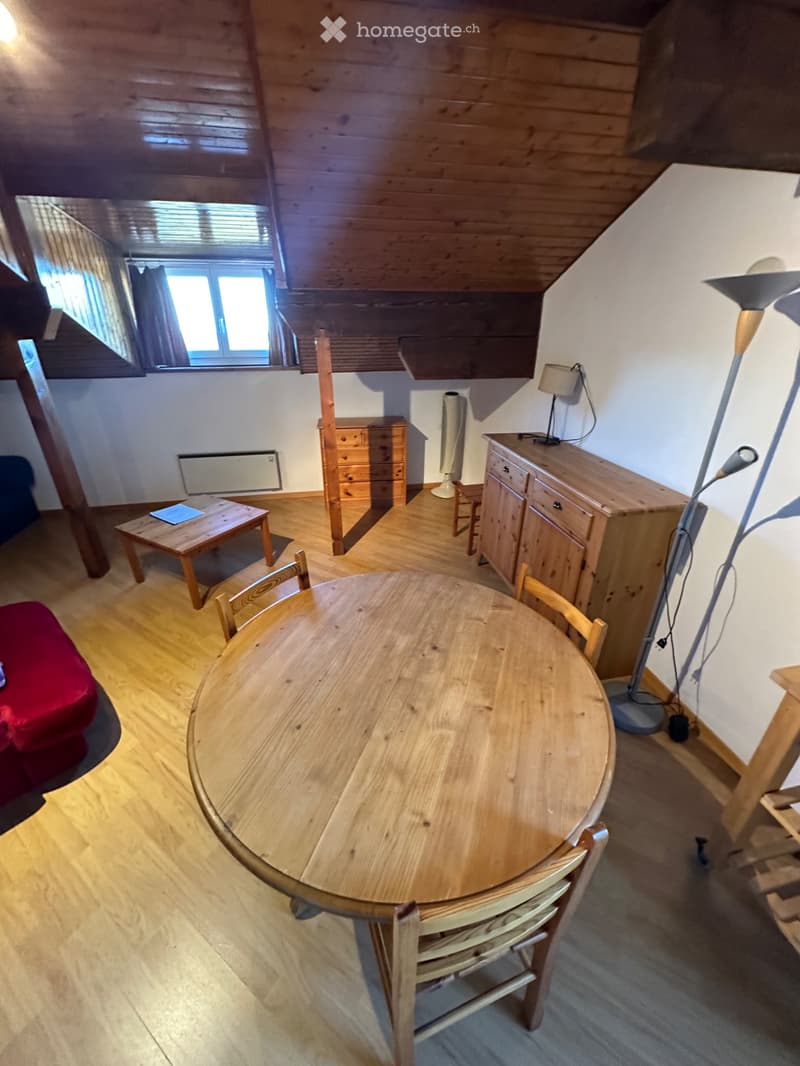 Studio Meublé 38m2 La Cure (5)