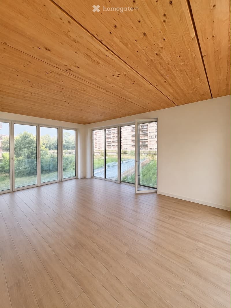 Magnifique duplex de 5 pièces aux Vergers (Meyrin) (4)