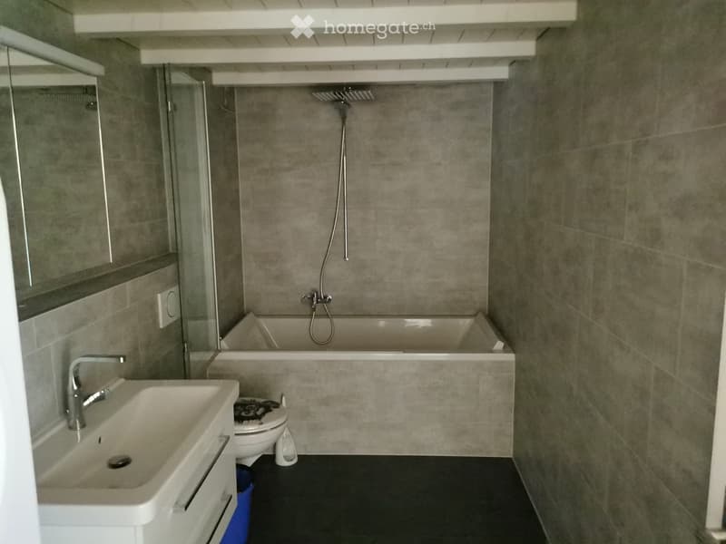 Charmantes Loft Apartment in Gächliwil SO zu vermieten (2)