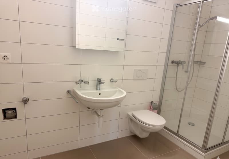 À REPRENDRE: Superbe appartement lumineux, Lutry dès Aout (5)