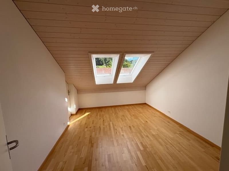 Grosse moderne und klimatisierte 3.5 Zimmer Dachwohnung (2)