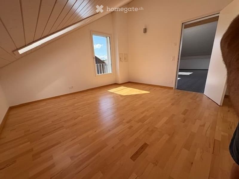 Grosse moderne und klimatisierte 3.5 Zimmer Dachwohnung (3)
