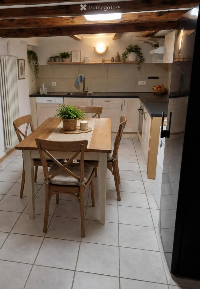 4.5 p appartement terrasse (4)