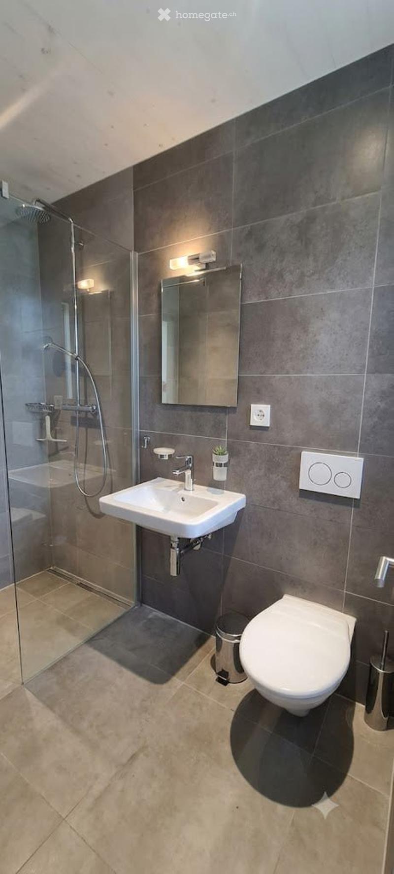 Appartement de 5.5 Pièces en triplex à Valangin (4)