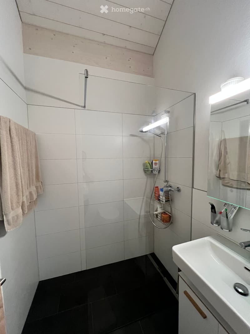 Schöne Duplex Wohnung, 5.5 Zimmer mit Seesicht (2)