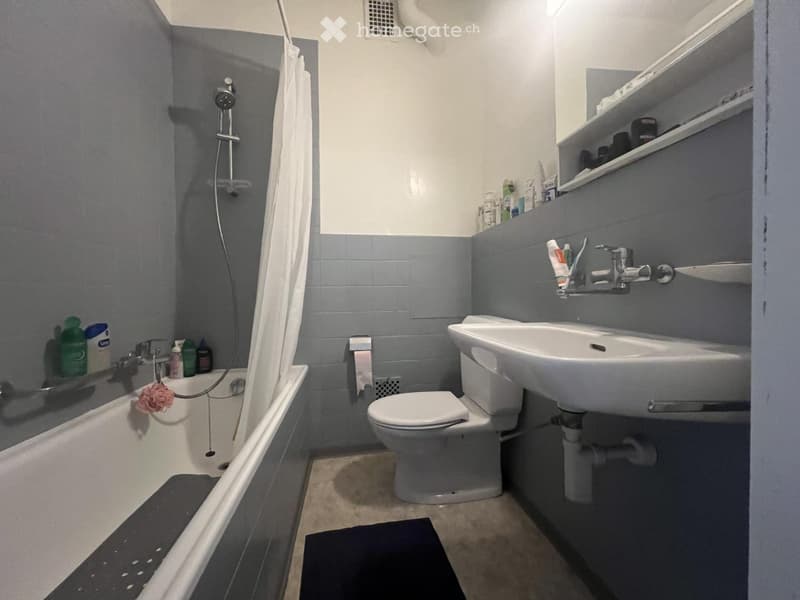 Helle 3-Zimmer-Wohnung in Emmen (2)