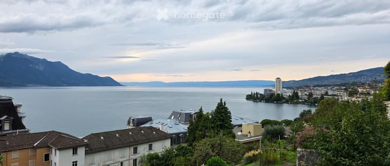 Très Joli Appartement avec Vue Lac - Au calme à Territet (1)