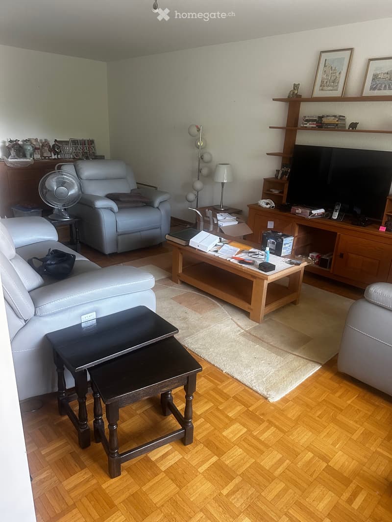 Appartement 3.5 pièces spacieux avec balcon et parkings (1)