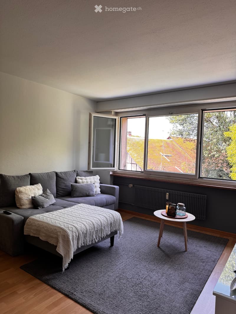 3-Zimmer-Wohnung (3)