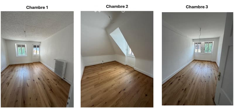 Appartement entièrement rénové et lumineux au cur de Sierre (3)