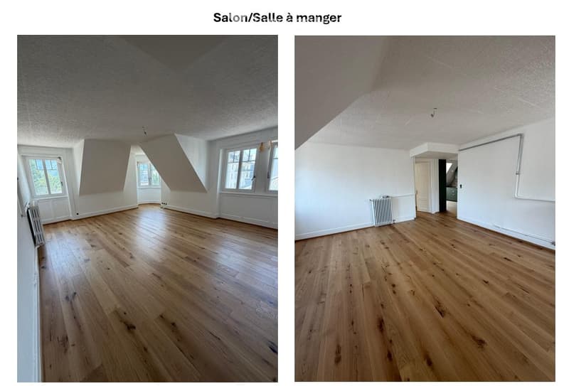 Appartement entièrement rénové et lumineux au cur de Sierre (1)