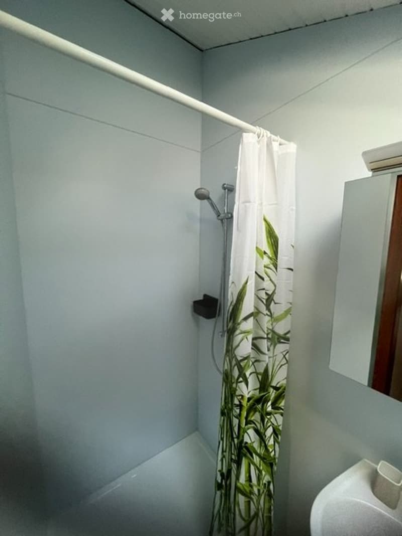 Studio à louer à Ponthaux (3)