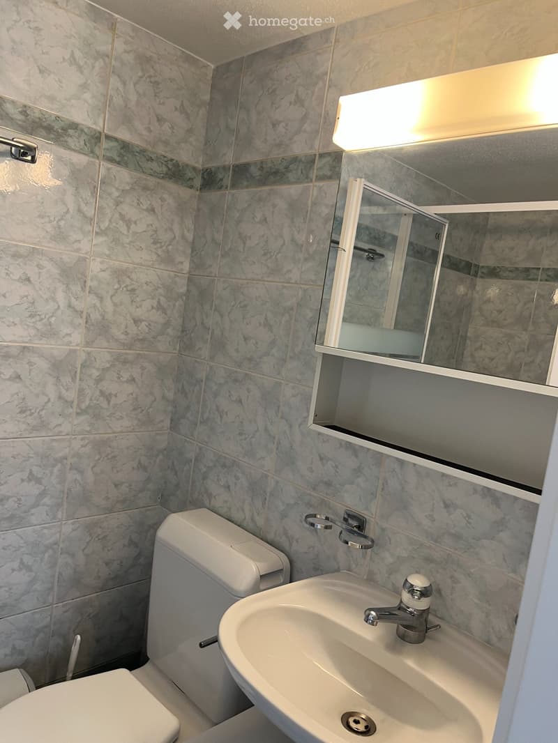 studio à louer à Romanel sur Lausanne (4)