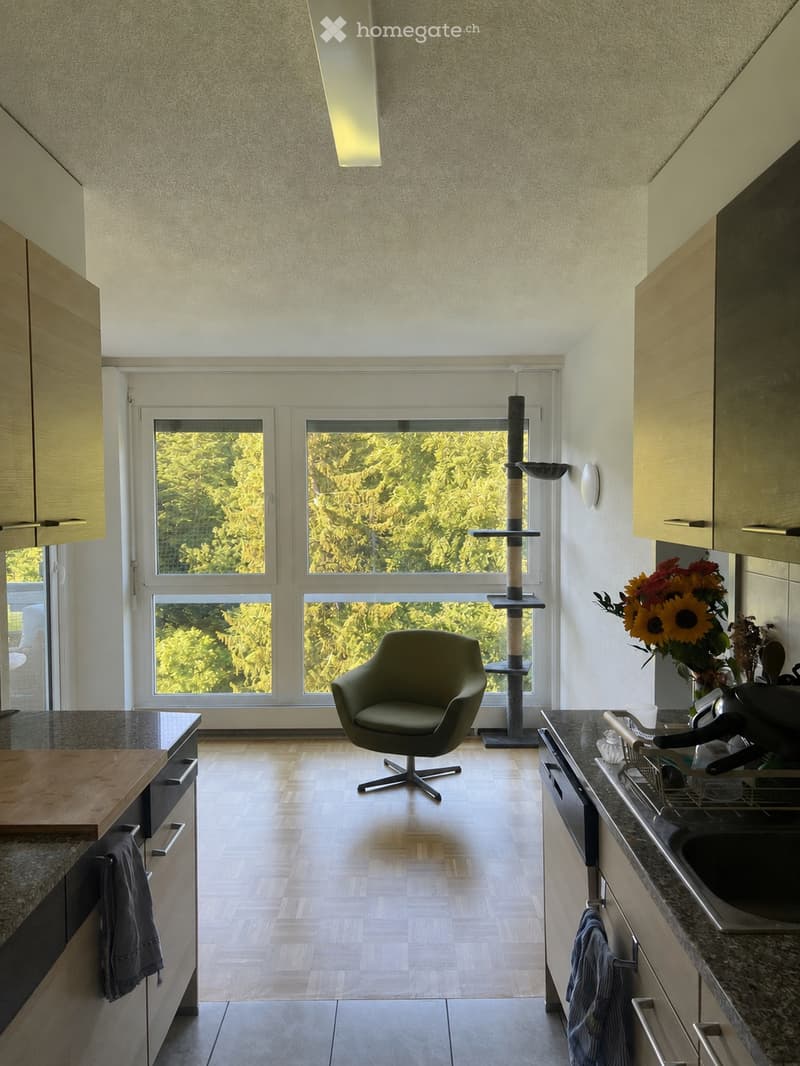 Chambre disponible à Berne du 1er juillet au 31 août (2)