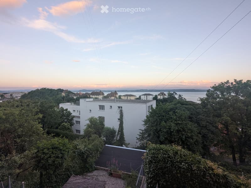 Appartement 4,5 pièces Superbe Proche Gare - Jardin (5)