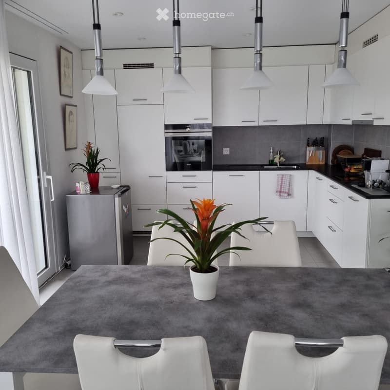 Appartement spacieux et lumineux (2)