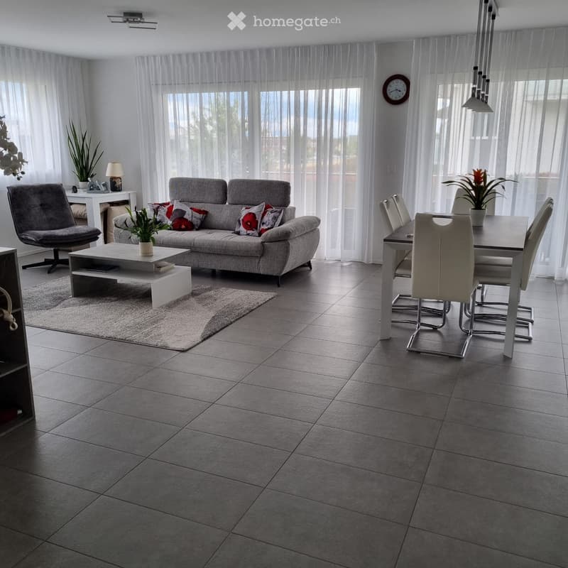 Appartement spacieux et lumineux (1)