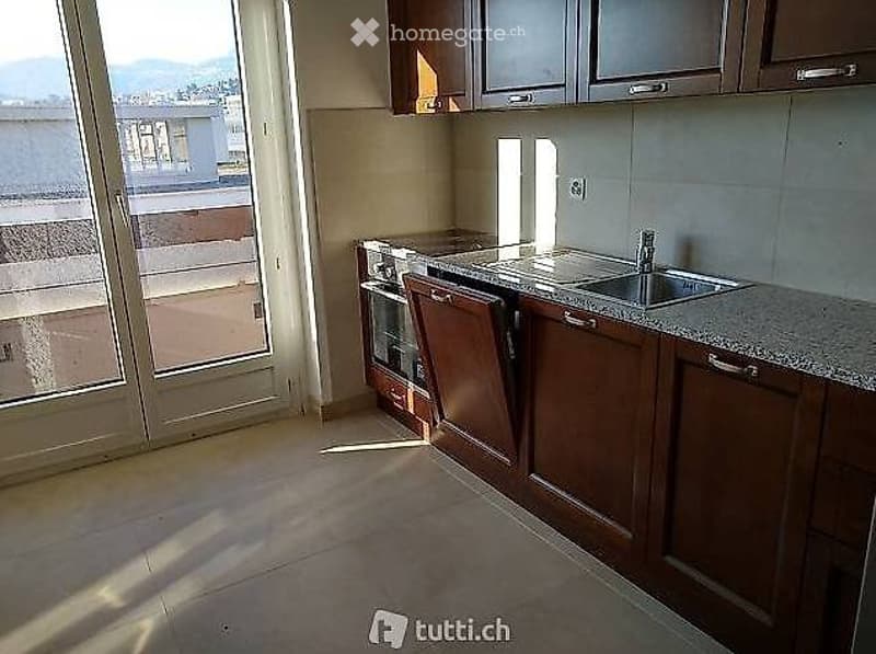 Lugano, affitto 3.5 locali con 3 balconi (3)