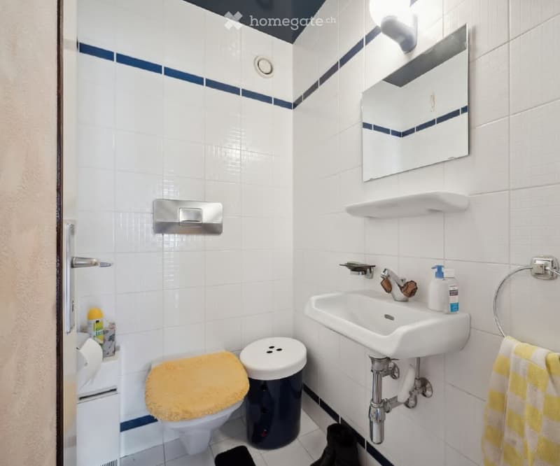 Magnifique appartement de 4.5 p (3)