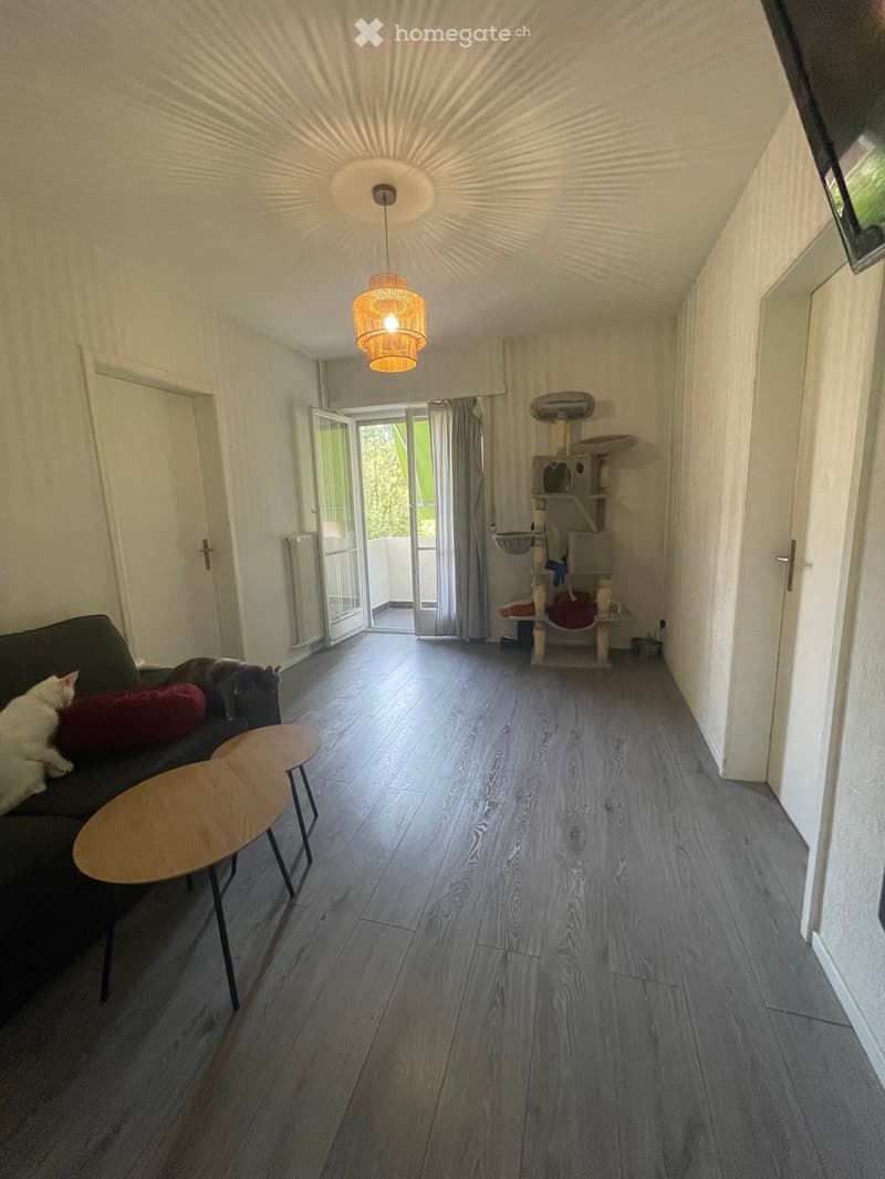 URGENT - CHAMBRES À LOUER EN COLOCATION LAUSANNE (1006) (2)