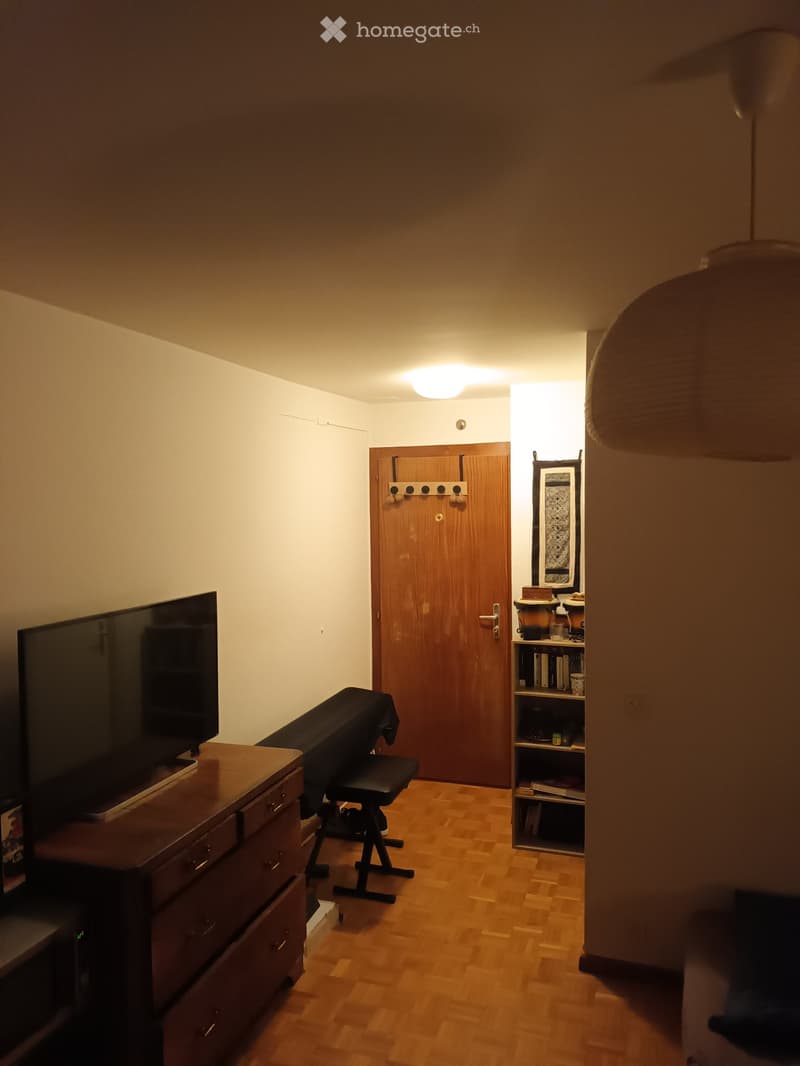 Studio meublé 3 minutes de la gare de La Tour-de-peilz (3)