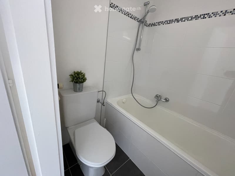 Studio rénové avec vue panoramique (5)